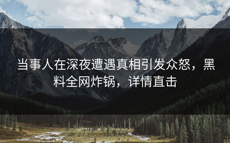 当事人在深夜遭遇真相引发众怒，黑料全网炸锅，详情直击