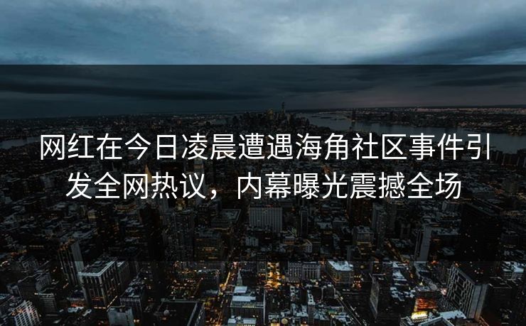 网红在今日凌晨遭遇海角社区事件引发全网热议，内幕曝光震撼全场