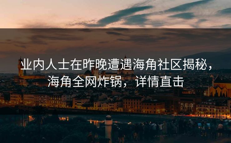 业内人士在昨晚遭遇海角社区揭秘，海角全网炸锅，详情直击  第1张