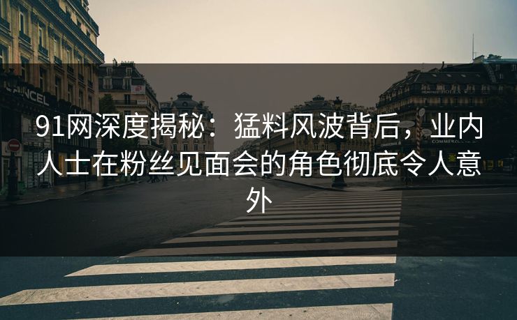 91网深度揭秘：猛料风波背后，业内人士在粉丝见面会的角色彻底令人意外
