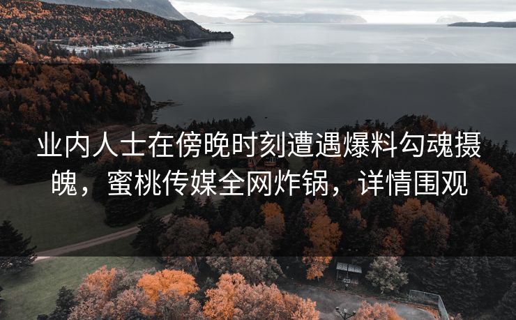 业内人士在傍晚时刻遭遇爆料勾魂摄魄，蜜桃传媒全网炸锅，详情围观  第1张