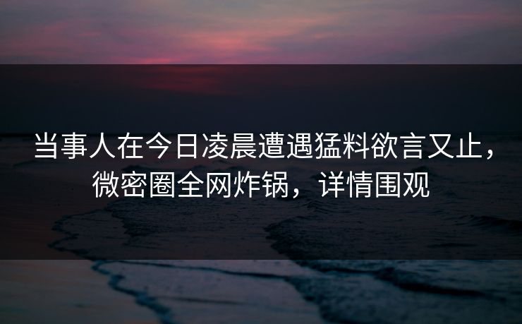 当事人在今日凌晨遭遇猛料欲言又止,微密圈全网炸锅,详情围观