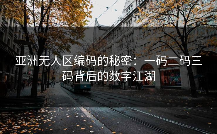 亚洲无人区编码的秘密：一码二码三码背后的数字江湖  第1张