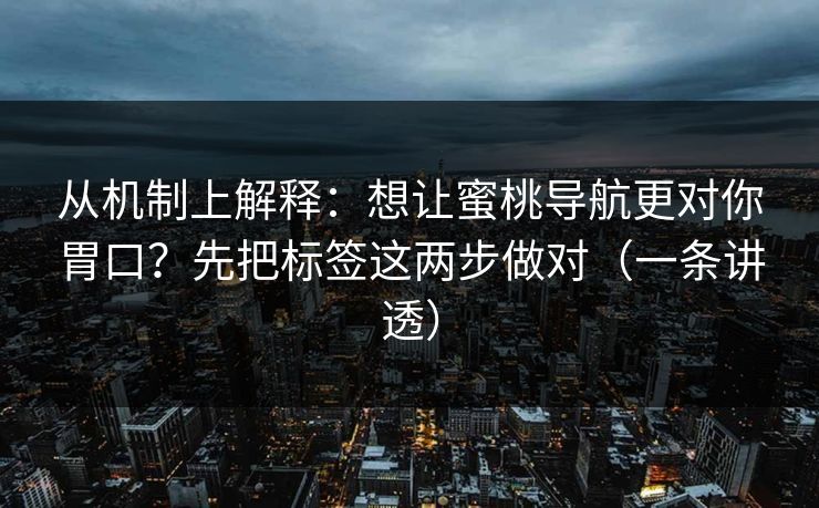 从机制上解释：想让蜜桃导航更对你胃口？先把标签这两步做对（一条讲透）